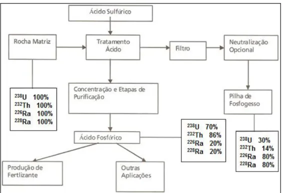 Figura 2.7 - Percentuais de radionuclídeos contidos em diferentes etapas na indústria de  fertilizantes (modificado - Fernandes et al., 2009)