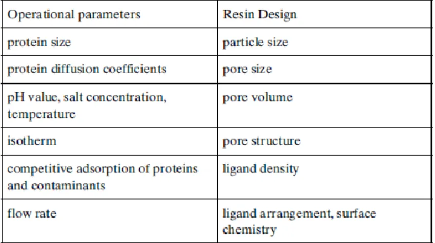 Table 1.4.1 - Operational parameters and resin design, which influence the DBC, taken from (Müller, 2005)   