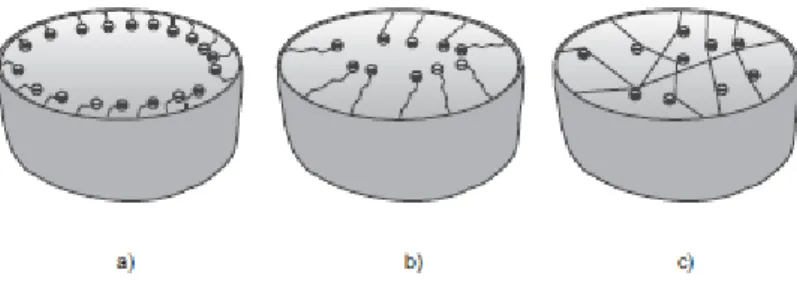 Figure 1.4.1 – Ligand architecture in the resin pore: a) without spacer, b) with spacer and c) polymeric modification  (Müller, 2005) 