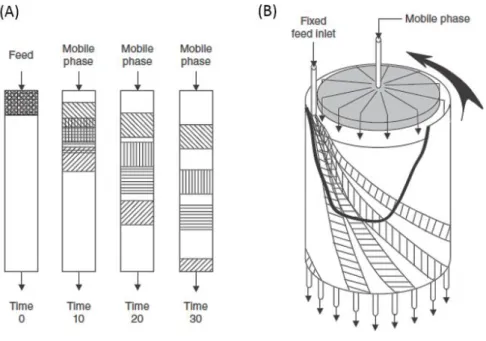 Figure  3  -  Schematics  of  a  conventional  column  chromatography  (A)  and  continuous  annular  chromatography (B) mostly used in biotechnological industries