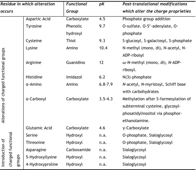 Table  4  -  Post-translational  modifications  contributing  to  charge  properties  and  charge  alterations  of  proteins