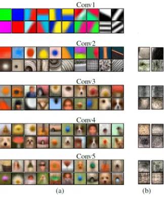 Fig. 3: Examples of NFs for each convolutional layer of the network VGG-M. (a) 20 examples per convolutional layer of well defined NF; (b) examples of blurred NF