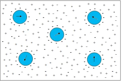 Figura  1.3  –  Esquema  de  fluido  magnético  iônico:  partículas  em  equilíbrio  com  a  presença  de  repulsão  eletrostática