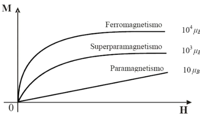 Figura 2.3 – Magnetização (M) versus campo magnético aplicado (H), representando o comportamento de  materiais  ferromagnéticos,  superparamagnéticos  e  paramagnéticos  sob  a  ação  de  um  campo  magnético  aplicado