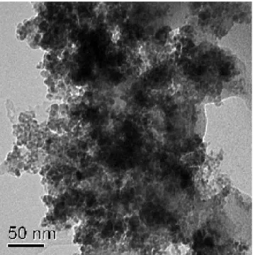 Figura 3.3 – MET das nanopartículas de FMs à base de óleo mineral. 