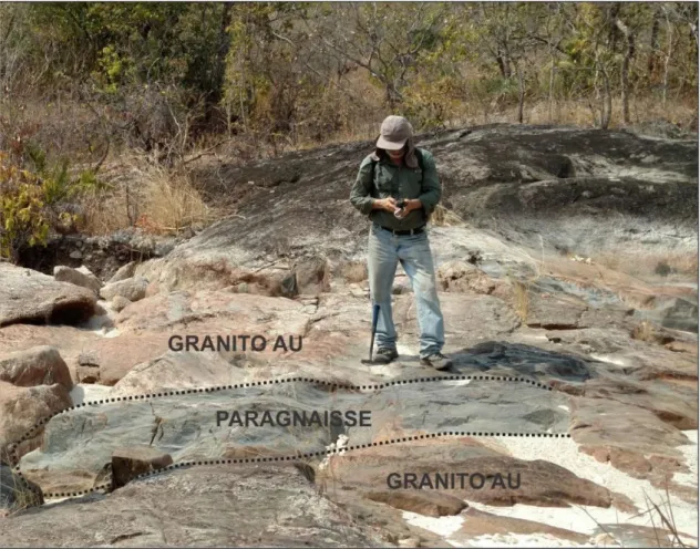 Figura 2.5: A foto evidencia a assimilação do xenólito de paragnaisse, Fm. Ticunzal, pelo granito da Suíte  Aurumina (Granito Au)
