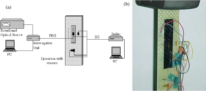 Fig. 1 – Set-up used in the measurements, for FBG and SG sensors (a), and the specimen mounted  in the machine test (b)