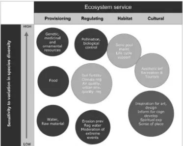 Figure 1. 1 –The several types of ecosystem services and their relation with species diversity, from Elmqvist, (2010)