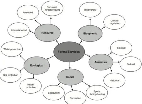 Figure 1. 2 - Forest ecosystem services organized by major classes, from Shvidenko et al., (2005)