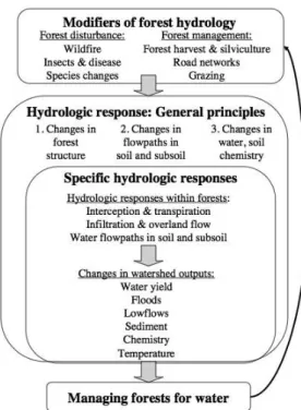 Figure 1. 6 - Hydrologic responses to changes in forest disturbance and management, from Jones et al