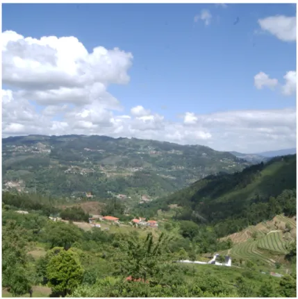 Figura 3 Paisagem rural do vale do rio Douro (foto de autor) 