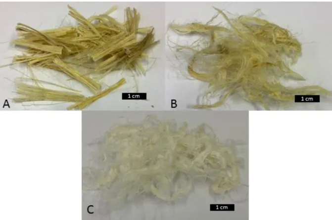 Figura 11 - Fibras de curauá in natura (a), fibras de curauá lavadas com água e mercerizadas (b) e  fibras de curauá lavadas com NaClO e mercerizadas.