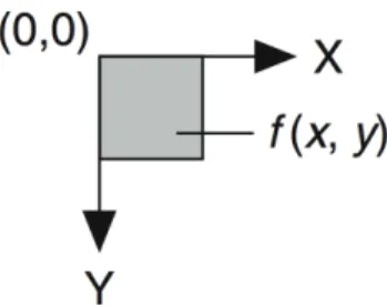 Figure 2.1: Pixel (0,0) spatial reference