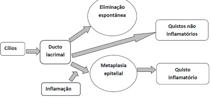 Figura 4 - Papel dos cílios na formação de quistos dos ductos lacrimais. Adaptado de Lee et al