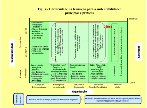 Fig. 3 – Universidade na transição para a sustentabilidade: 