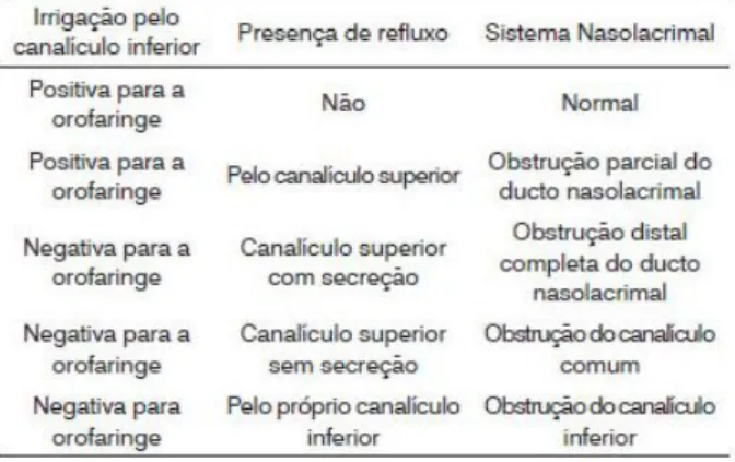 Tabela 1 – Resultados do teste de irrigação 4