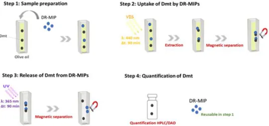 Figure 1. Schematic representation of the analytical methodology for the trace analysis of dimethoate  (Dmt)  in  olive  oil  samples  using  core-shell  magnetic-photonic  molecularly  imprinted  polymer  nanoparticle (DR-MIP) as sorbent