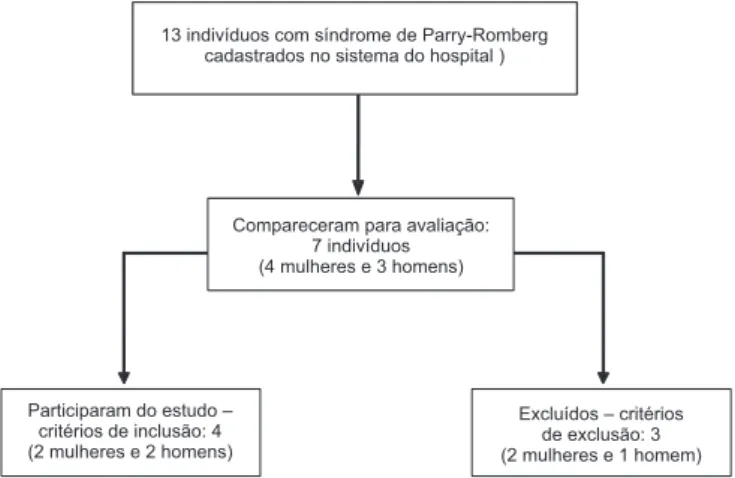 Figura 1. Composição da amostra do estudo