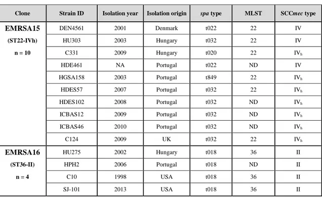 Table 4. Strains used in study B.   