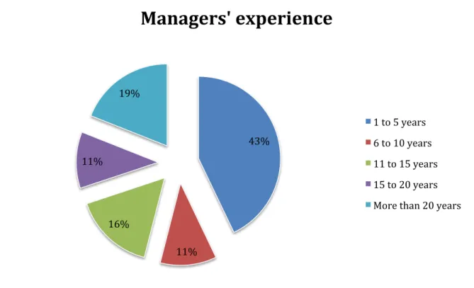 Figure 8: Managers’ experience 