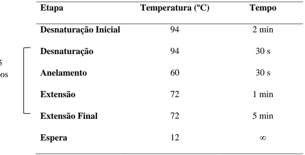 Tabela 2.2: Etapas da PCR utilizadas para amplificação dos genes da CP. 