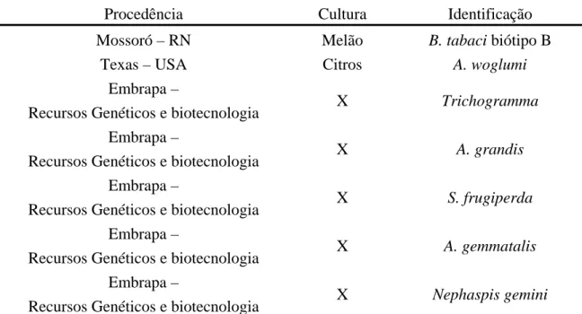 Tabela 7 – Populações de insetos utilizadas nas determinações dos perfis de marcadores de  RAPD