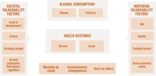 Figura 1: Modelo causal conceitual de consumo de álcool e resultados de saúde (2) 