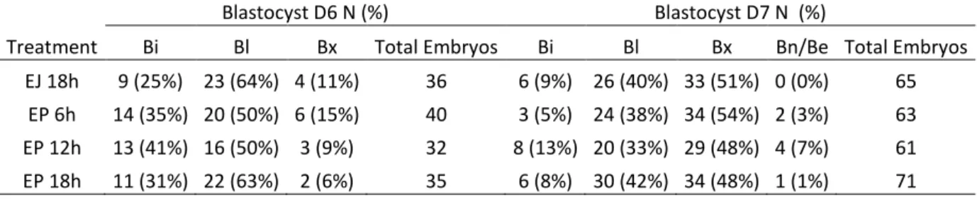 Table 5. Blastocysts developmental stages on days 6 and 7 of culture originated from oocytes  co-incubated with ejaculated sperm (EJ 18h) per 18 hours and with epididymal sperm for 6,  12  and  18  h  (EP  6h,  EP  12h,  EP  18h)