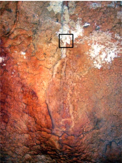 Figura 5. Punto de muestreo de LAS-6 en la cueva de Las Aguas.