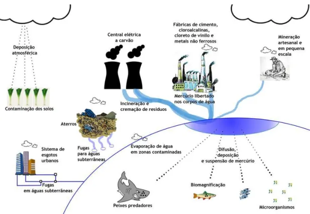 Figura 1. Ilustração do ciclo global do mercúrio. Adaptado de UNEP (2013) 