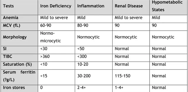 Figura 2- A simplified algorithm for the diagnosis of iron deficiency anemia (modified from reference 11),  Fonte: (23)