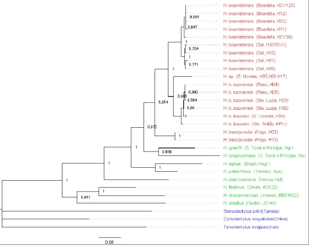 Figure  3.2. Phylogenetic tree obtained in the BI analysis using external outgroups for the combined set with all the  genes for Hemidactylus
