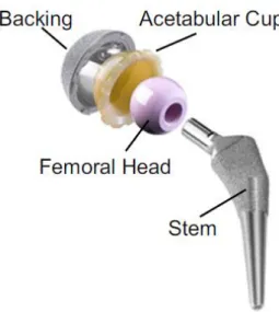 Figure 3.4 - Main components of an artificial hip joint (Mattei, et al. 2010). 