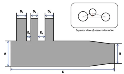 Figure 4 – Schematic drawing of the stent-graft prototype suggested by Finlay et al. [5]