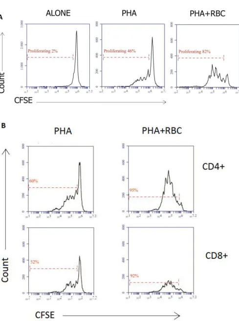 Figure  6.  The  presence  of  RBC  in  cultures  of  PBMC  activated  with  PHA  increases  the  extent  of  T  cell  proliferation