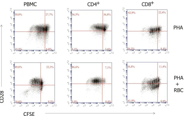 Figure 8. Relationship between T cell proliferation and CD28 downmodulation. PBMC were labeled with  CFSE  and  cultured  for  6  days  in  the  presence  of  PHA  or  PHA+RBC,  as  indicated  in  the  Material  and  Methods