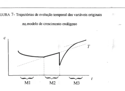 FIGURA 7- Trajectórias de evolução temporal das variáveis originais 