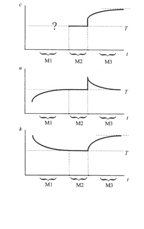 FIGURA 8- Trajectórias de evolução temporal das variáveis originais no modelo neo-clássico 