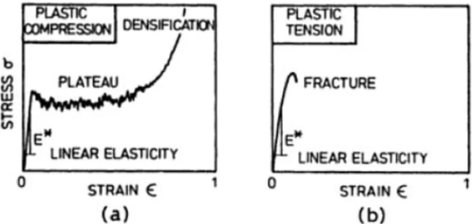 Figure 18 Stress-strain curves for the axial (X3) loading of a honeycomb, (a) compression, (b) tension,  (L.J