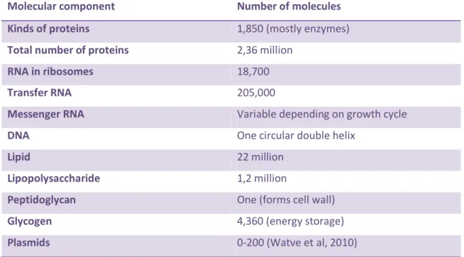 Table 1 – Number of molecules in a single Escherichia coli cell Adapted from (Deamer, 2009) 