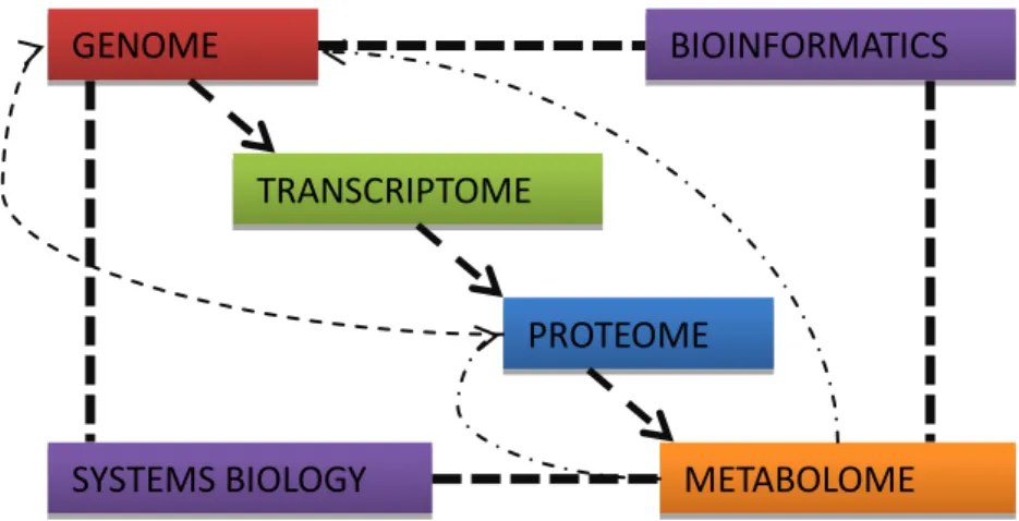 Fig.  3  –  Major  relationships  between  different  omic  datasets  and  the  integration  of  Systems  Biology  and  Bioinformatics