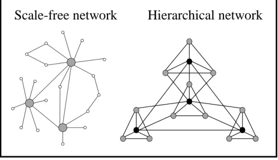 Fig.  6  –  Different  topologies  of  biological  networks.  Scale  free  networks  follow  a  power  law-like  distribution