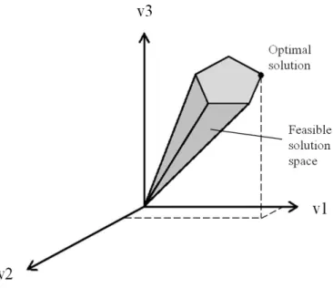 Fig.  7  –  Mathematical  calculation  of  flux  distributions  (solution  spaces)  and  optimal  fluxes  (optimal  solutions)  requires the definition of constraints  