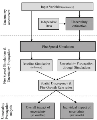 Fig. 2. Flowchart of the methodology followed. Light grey boxes represent inputs and outputs, dark grey boxes represent methodological steps.