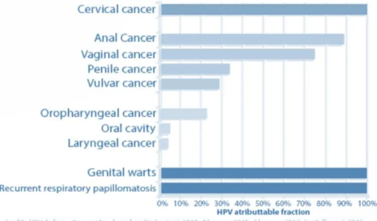 Figura 1 - Prevalência das lesões causados por infeção HPV (7)  