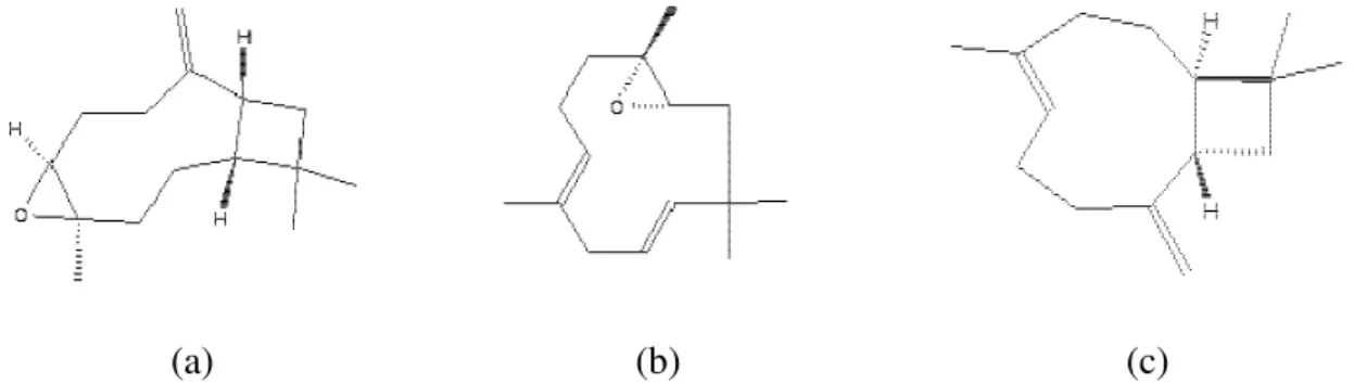 Figura 5.4 – Estruturas químicas dos compostos majoritários do óleo de P. myrsinites. 