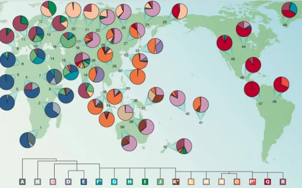 Figure 7 – Global distribution of Y haplogroups. Each circle represents a population sample with the frequency of the  18  main  Y  haplogroups  identified  by  the  Y  Chromosome  Consortium  (YCC),  indicated  by  the  color  sectors