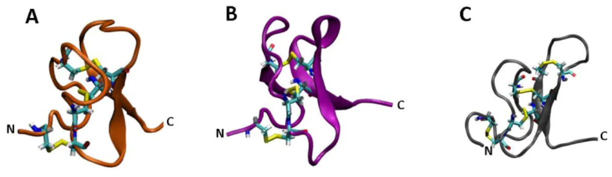 Figura  5.  Representação  molecular  das  estruturas  tridimensionais  de  neurotoxinas  isoladas  da  peçonha de aranhas
