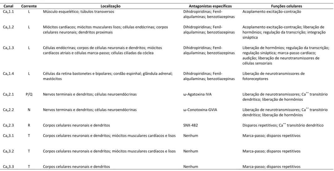 Tabela 2. Função fisiológica e farmacológica dos diferentes tipos e subtipos de canais para Ca ++ 