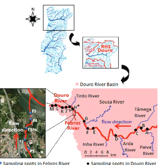 Fig. 3.3. Geographical location of the case study – Portuguese hydrographical region no